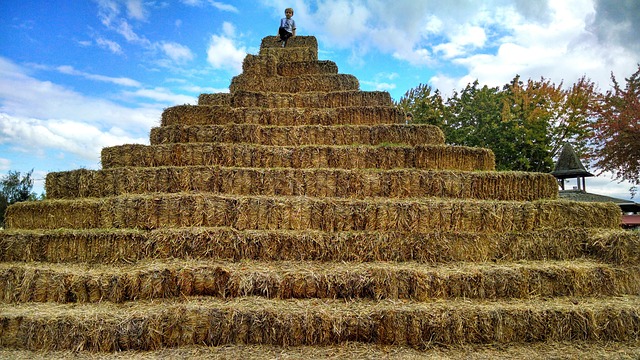 dítě na slámové pyramidě