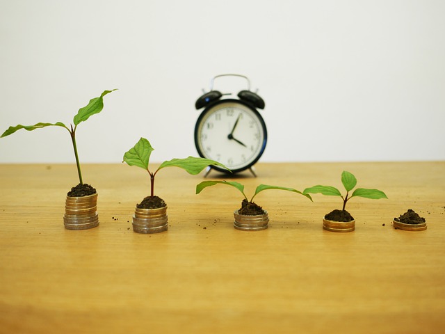 finanční růst – mince, budík, květiny.jpg